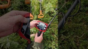 Металлоискатели Сталкер и Ионик вышли в поле погулять