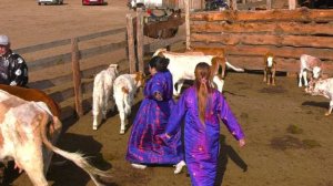 Медиавизитка Хертек Сайсуу Сарыг-Тарааевны