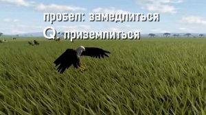 Гайд на рыбного орла в игре wild savannah roblox #роблокс #саван?