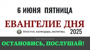 6 июня пятница Евангелие дня 2025 с толкованием