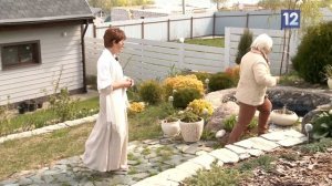 Дачные советы: загородный дом