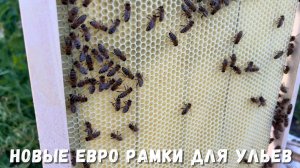 Новые евро рамки для ульев: Удобство и Качество в пчеловодстве!