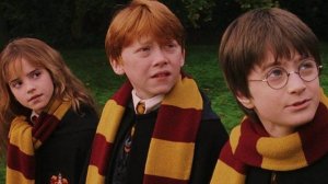 Смешная переозвучка, Гарри Поттер попал в ПТУ