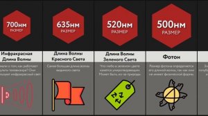 Сравнение_ Маленькие Вещи во Вселенной