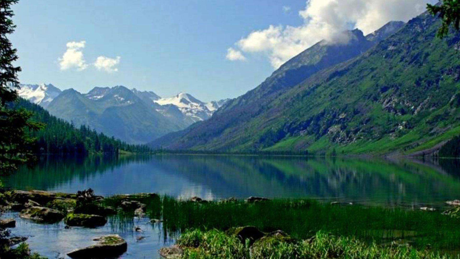 Праздник «Купала».