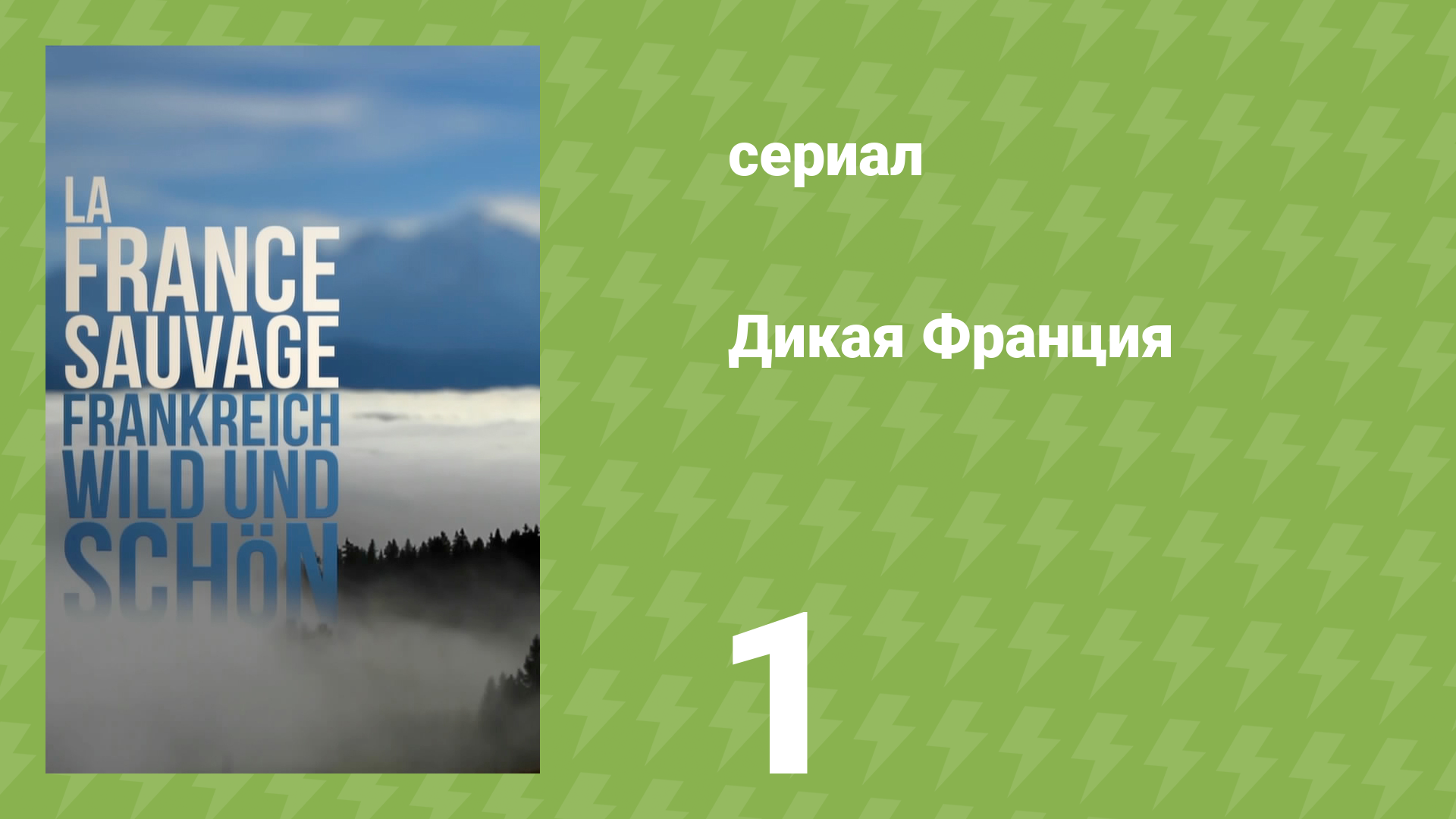 Дикая франция 1 серия «Живая природа в городе огней» (документальный сериал, 2012)