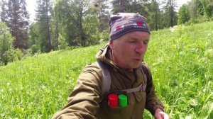 Брачное ложе медведей, как они это делают? Гон у  медведя.