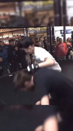 Лучшие нокауты Подпишись и ставь лайк #ufc #mma #youtube #sports #tiktok #shortsvideo #russia #box