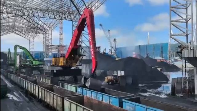 Перегружатель Sany 160 SMHC грузит уголь в морском порту