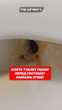 Грязный унитаз засияет как алмаз! Арт. ОЗОН 1987908809 #налет #унитаз #пастакппс #кппс