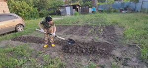 Переехали в старый дом/ Дела огородные/ Посадка помидор/ Обработка участка