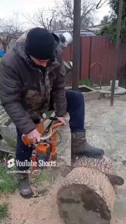 Бензопила УРАЛ с карбюратором от триммера в работе.
