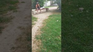 ВСТРЕТИЛИ ДРУЖКА В ПАРКЕ У КИНОТЕАТРА ВОСХОД