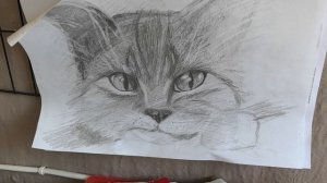 Она купила дом и поменяла свою жизнь. Опять поездка к Анев станицу. Сад подрастает.Клубника спеет.