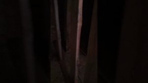 я в заброшке