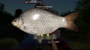 РУССКАЯ РЫБАЛКА 4 ЛОВИМ НА МЕДНОМ КРАБ И ПАЛТУС ПЕЛЕТС?