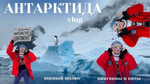 АНТАРКТИКА: путешествие на ЮЖНЫЙ ПОЛЮС | ПИНГВИНЫ и КИТЫ vlog