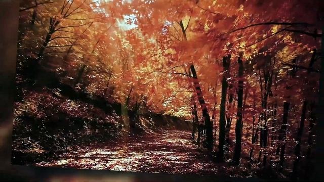 Этот человек говорит, что не любит тебя… но каждую ноч смотреть онлайн