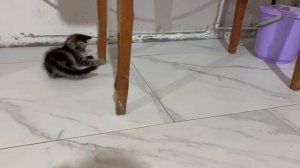 Семен проводит время вечером