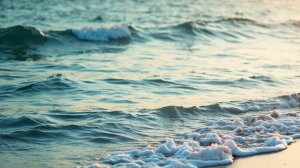 На берегу моря