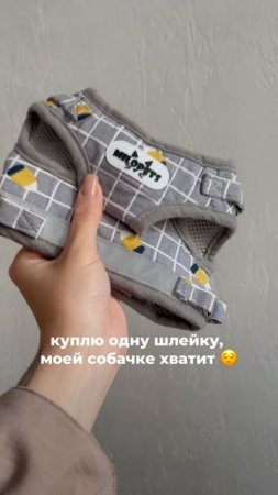 С MiloPets хочется купить все 😻

А сколько у вас шлеек?)
