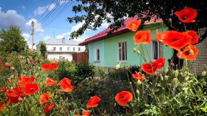 Летнее украшение улиц. Курск.