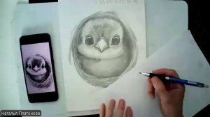 Птенчик (ч2) простой карандаш