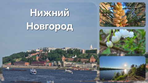 Командировка в Нижний Новгород, май 2025 #топыкатегорий #нижнийновгород