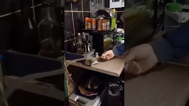 Покармил лесную братву