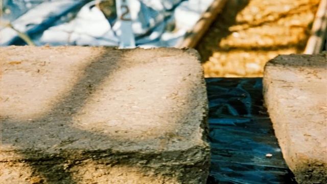 Современная технология выращивания овощей в теплицах смотреть онлайн