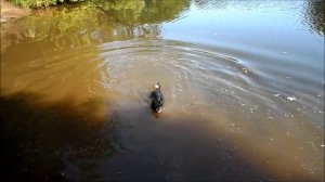 Летний день.
 6 июня 2025 г.