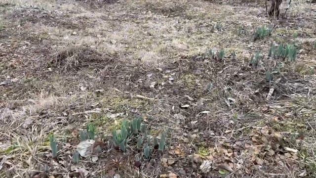 В ЧЕХОВ ПО ДЕЛАМ смотреть онлайн