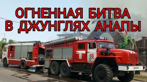 #ПОЖАР В АНАПЕ. ПАРК ДЖУНГЛИ 06.06.2025
