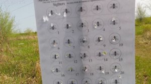 пистолет корсар 350 калибр 4,5 по мухам