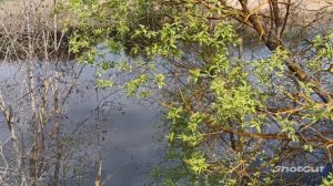 БОСИКОМ ПО РОССИИ МОЕЙ! ЗАМЕЧАТЕЛЬНАЯ ПЕСНЯ.