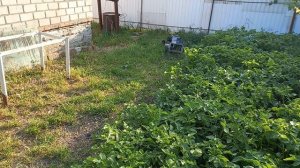 газонокосилка вариант 1 - черепаха