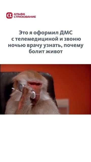 Телемедицина - еще одно удобство полиса ДМС в АльфаСтрахование