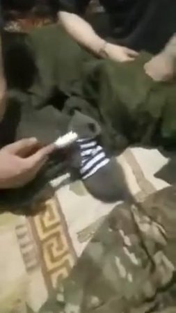 Котенок в тельняшке появился у вологодских бойцов в зоне СВО