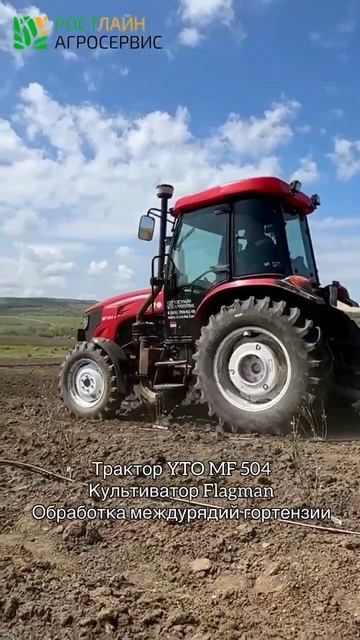 СЛАВНЫЙ МАЛЫЙ YTO 504 в кустах гортензии. Трактор садовник смотреть онлайн