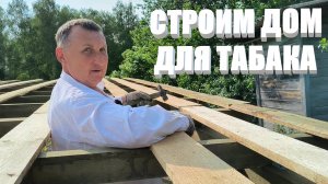 ТАБАК расти не хочет, а наш ДОМ ТАБАКА растет. ПЕРЕЦ радует. КЛУБНИКА подбросила проблему.