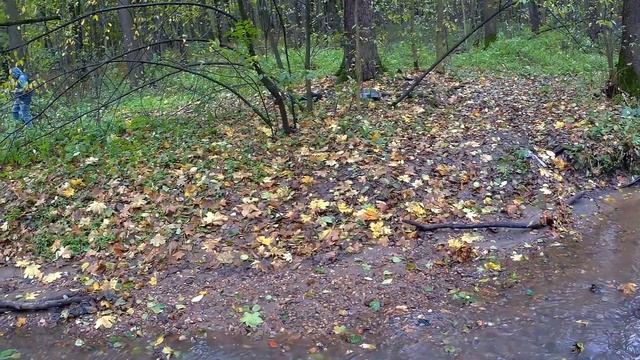 Unleashing the Power: RC Car 4x4 Трофи Измайлово 12 part.1 - RC Trophy and Scale Tria смотреть онлайн