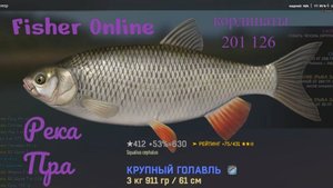 Fisher Online река Пра крупный голавль
