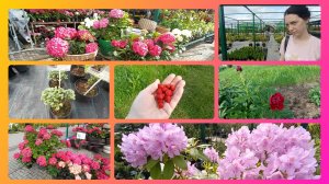 С больным сердцем точно нельзя!Красота и вкуснота 😋