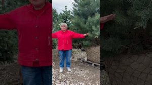 Встретил, влюбился, посадил!