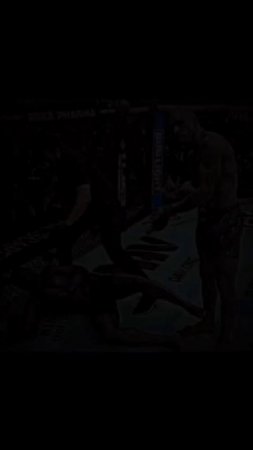 Лучшие нокауты Подпишись и ставь лайк #ufc #mma #youtube #sports #tiktok #shortsvideo #russia #box