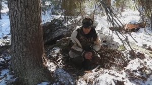 По следам бурого медведя - поиск берлог в "Онежском Поморье" - 2025