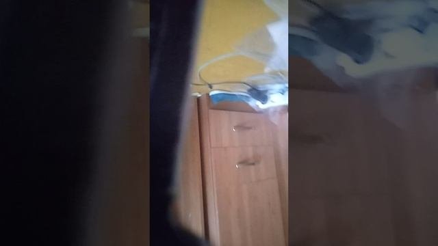 везение