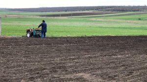 Посев многолетней травы райграс
