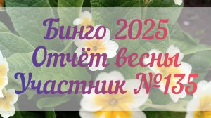 Бинго 2025|отчет весны 🌸|участник №135