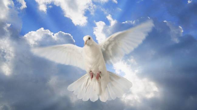 Песня "Дай нам Боже" Кавер смотреть онлайн